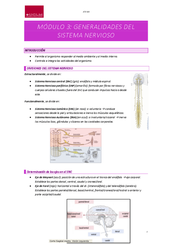 Miniatura del documento ATII-M3.pdf
