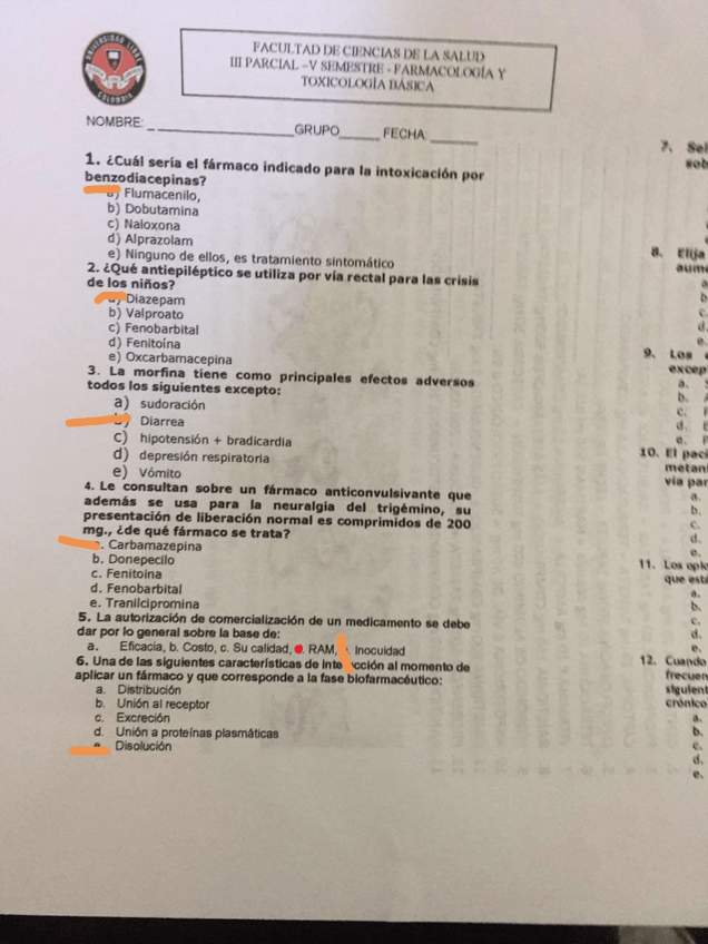 Miniatura del documento PATRON-III-5.jpg