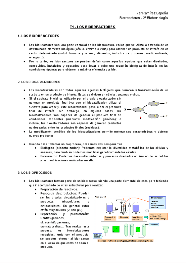 Miniatura del documento T1-BR-Los-Biorreactores.pdf