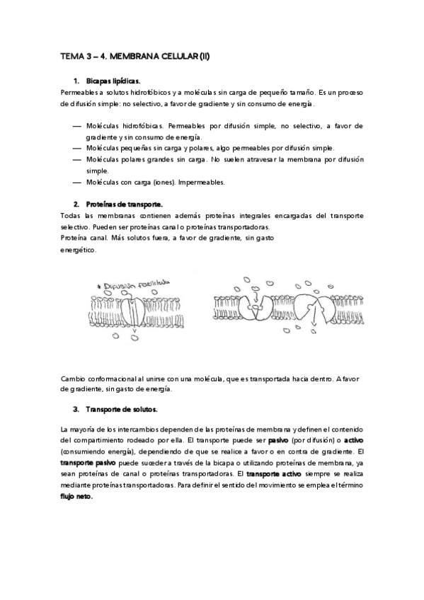 Miniatura del documento TEMA-3-4-.pdf