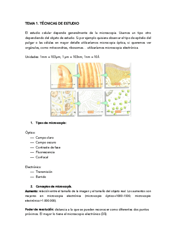 Miniatura del documento TEMA-1-.pdf