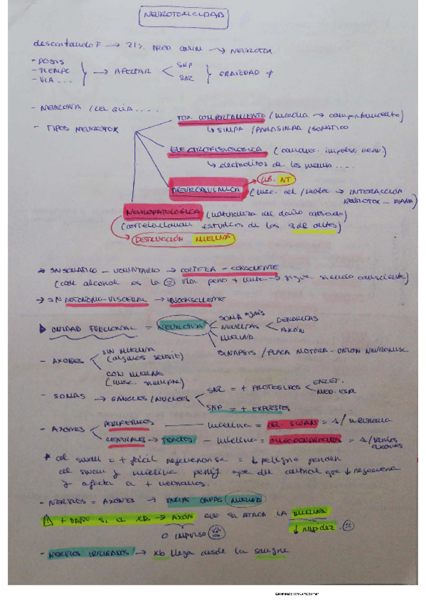 Miniatura del documento neurotox.pdf