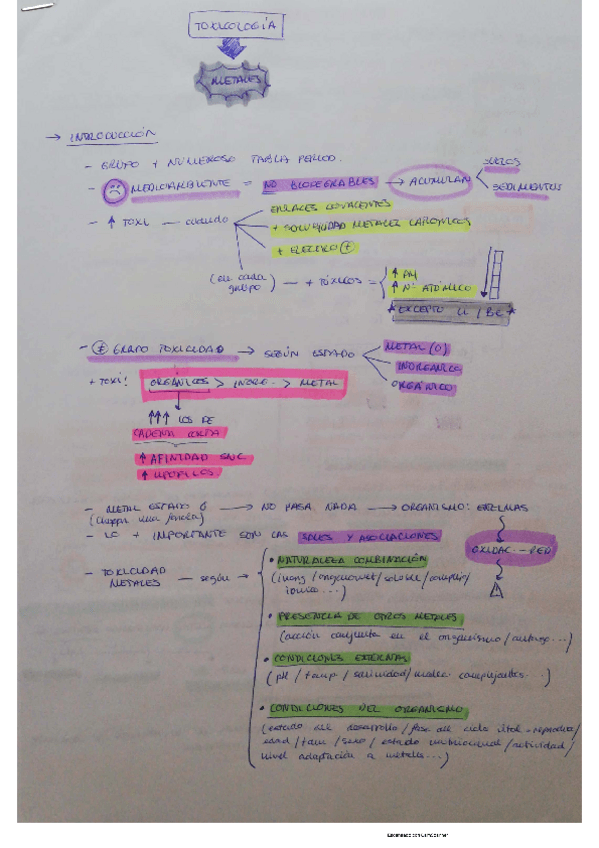 Miniatura del documento metales-y-radiacion-DESARROLLADO.pdf