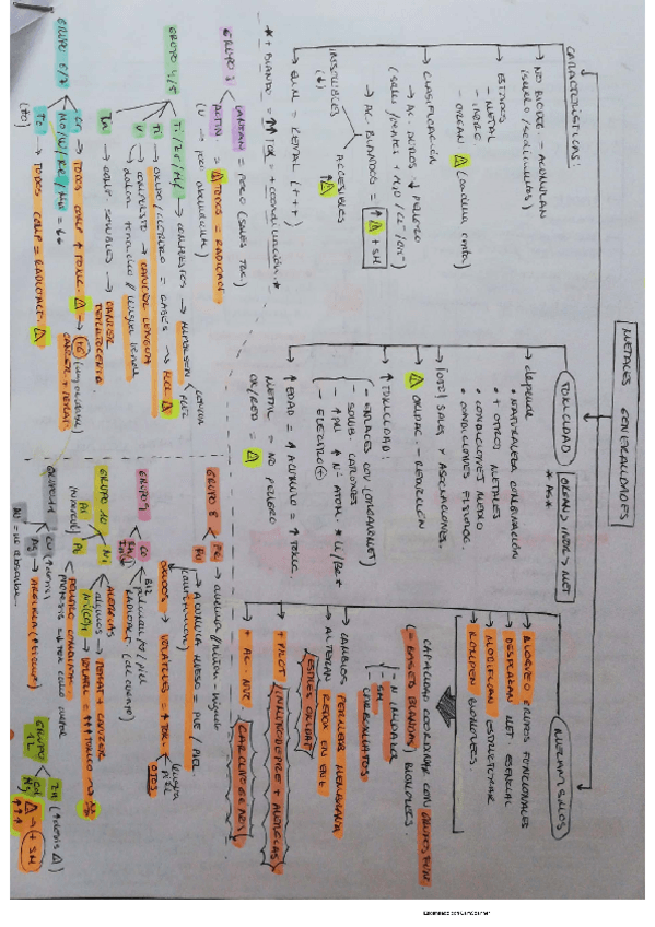 Miniatura del documento metales-pesados.pdf