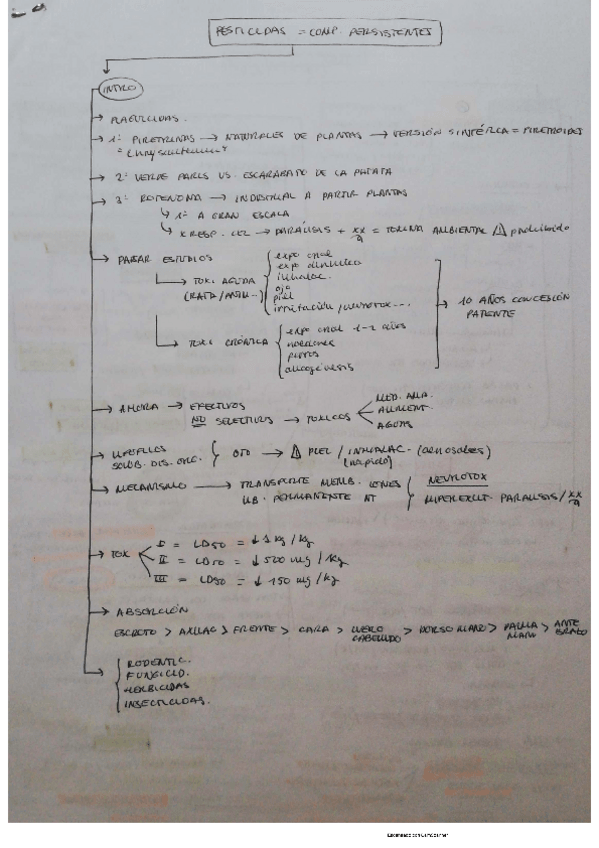 Miniatura del documento pesticidas-y-contaminacion-atmosferica.pdf