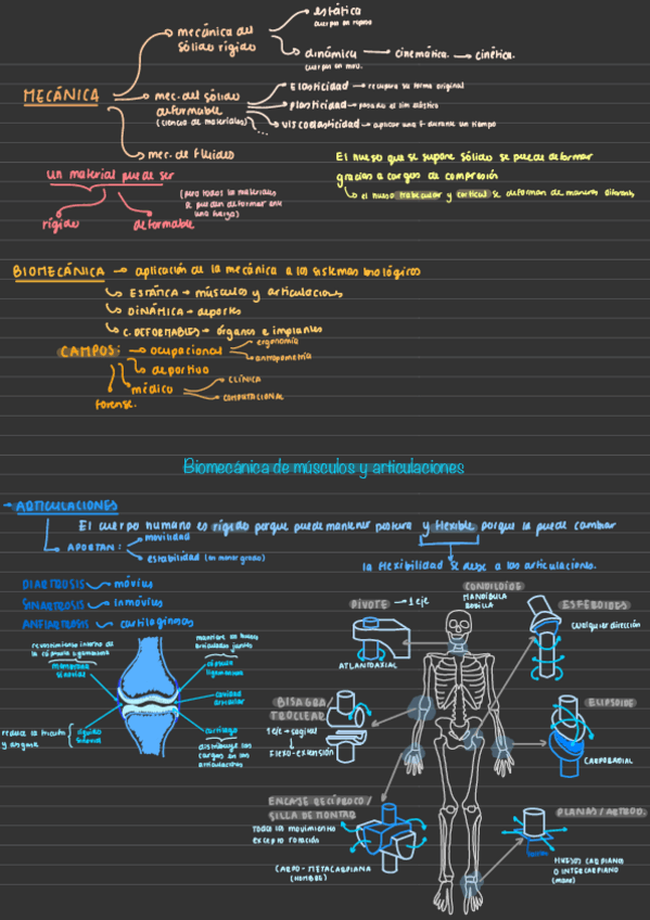 Miniatura del documento Apuntes-Biomecanica.pdf