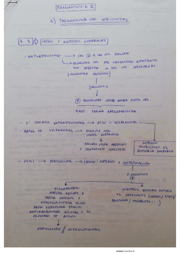 Miniatura del documento 1-ANTIINFECCIOSOS-intro.pdf
