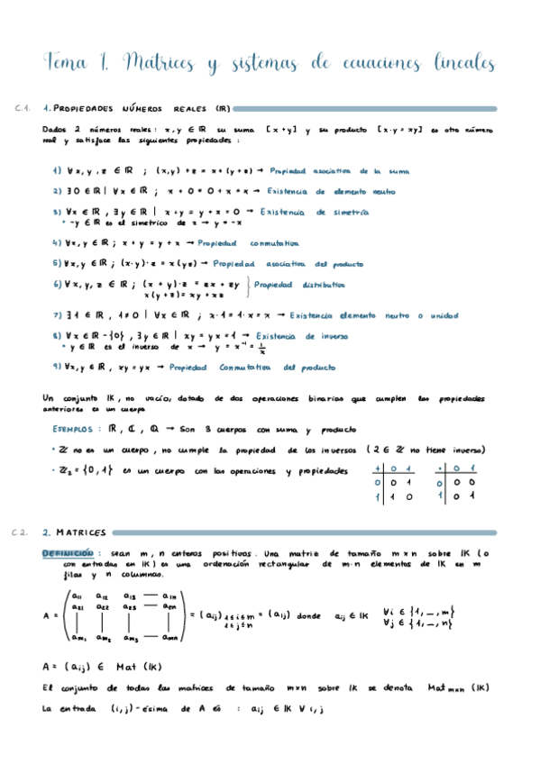 Miniatura del documento Al-Tema-1.pdf