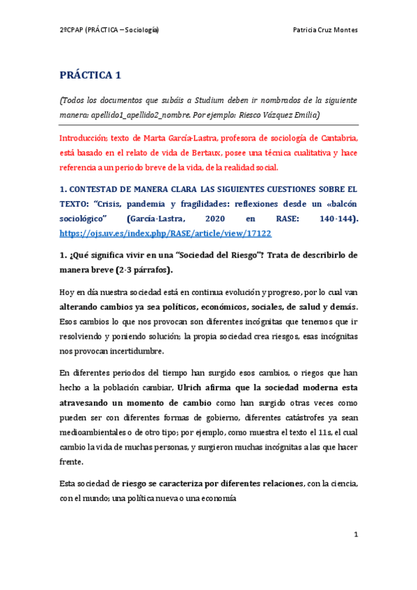 Miniatura del documento PRACTICA-1-sociologia-2oCPAP.pdf