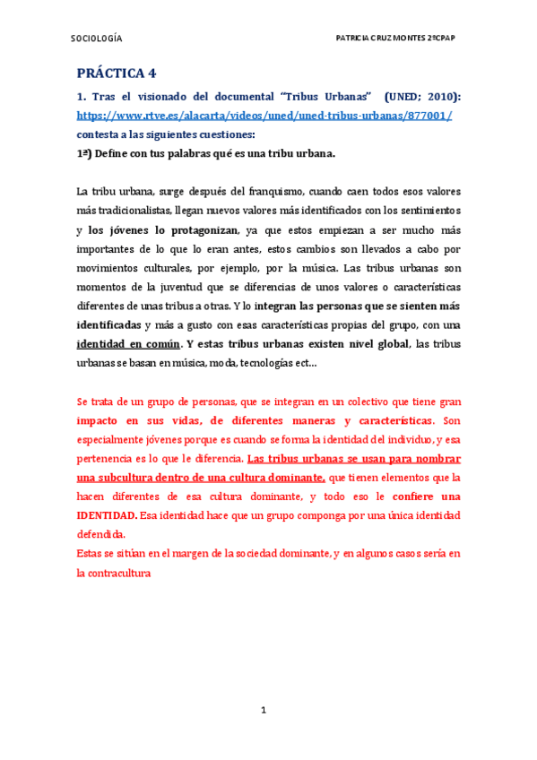 Miniatura del documento PRACTICA-4-sociologia.pdf