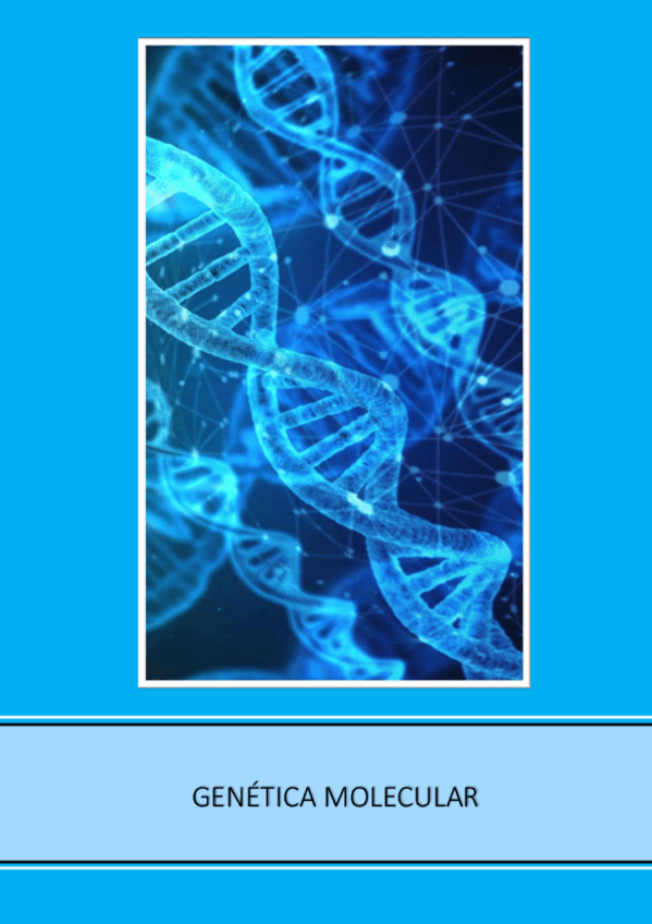 Miniatura del documento Apuntes-Genetica-molecular.pdf