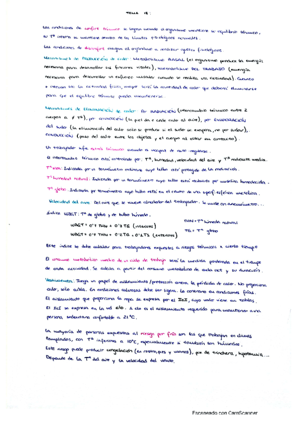 Miniatura del documento TEMA-18-Termico.pdf
