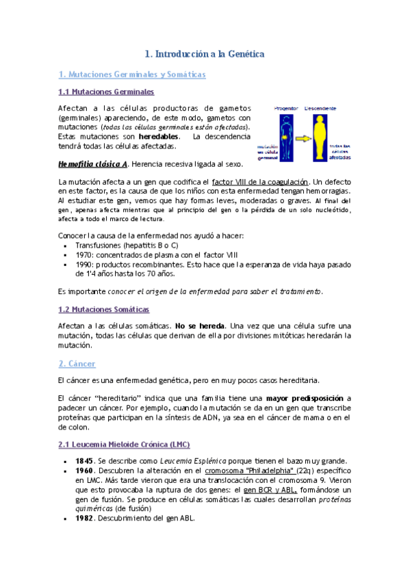 Miniatura del documento Tema 1.pdf