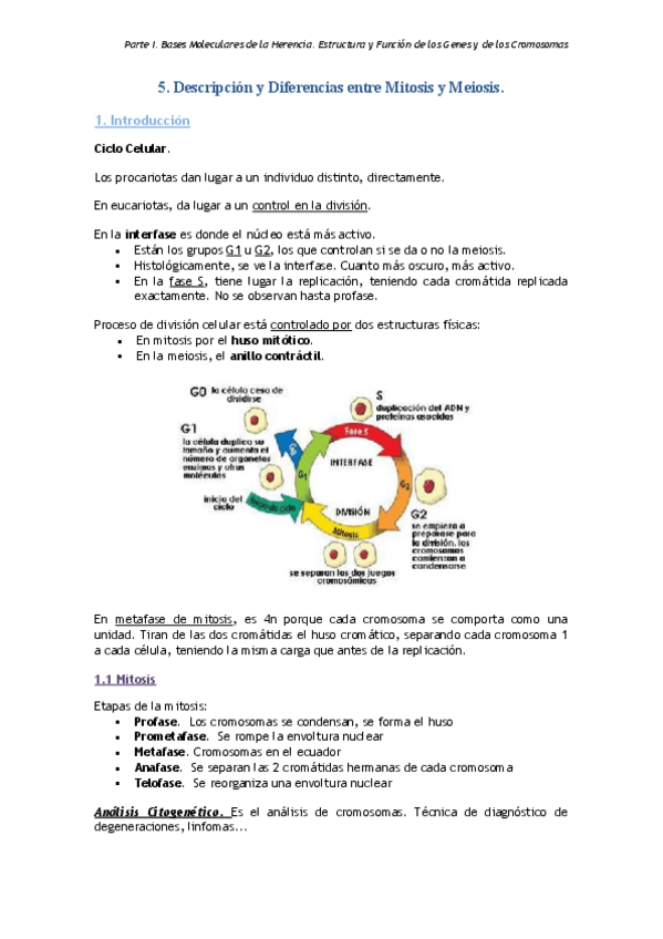 Miniatura del documento Tema 5.pdf