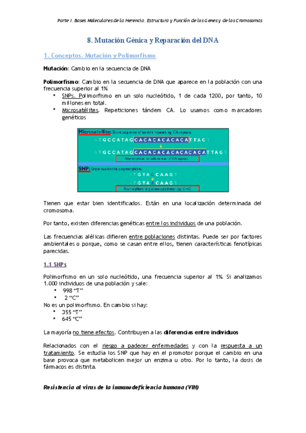 Miniatura del documento Tema 8.pdf