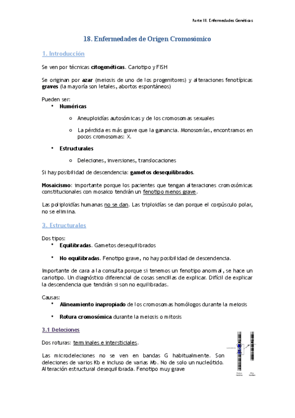 Miniatura del documento Tema 18.pdf