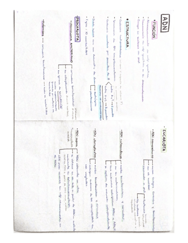 Miniatura del documento Tema-2-BM.pdf