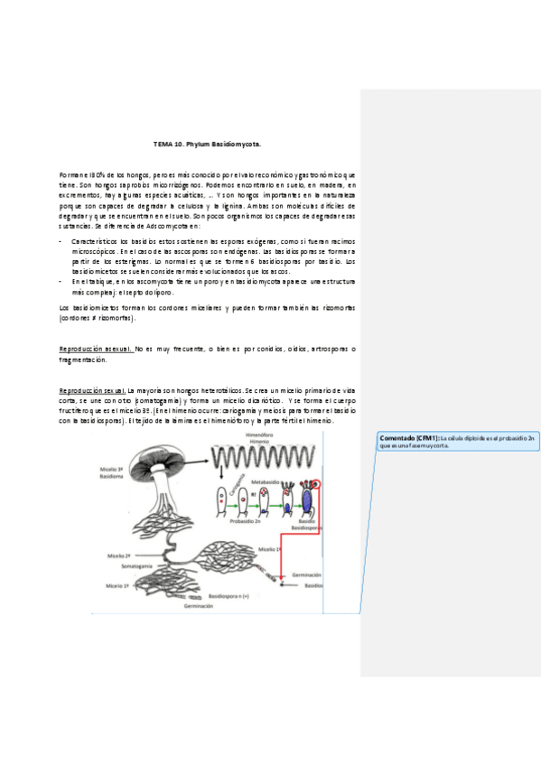 Miniatura del documento TEMA-10.pdf