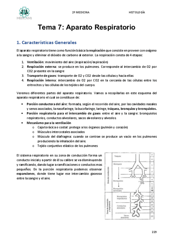 Miniatura del documento TEMA-7.pdf