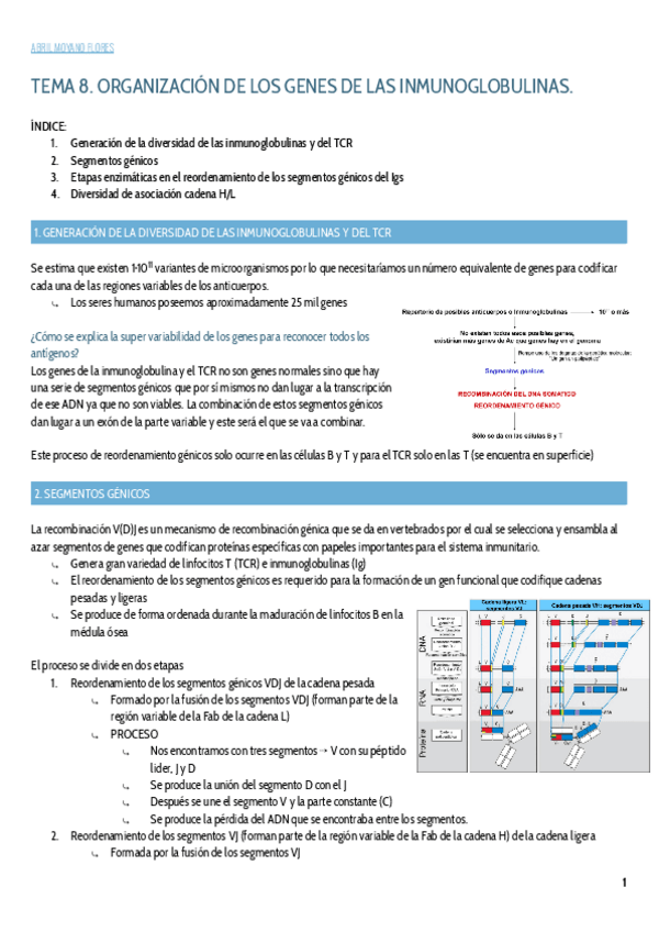 Miniatura del documento TEMA-8.pdf