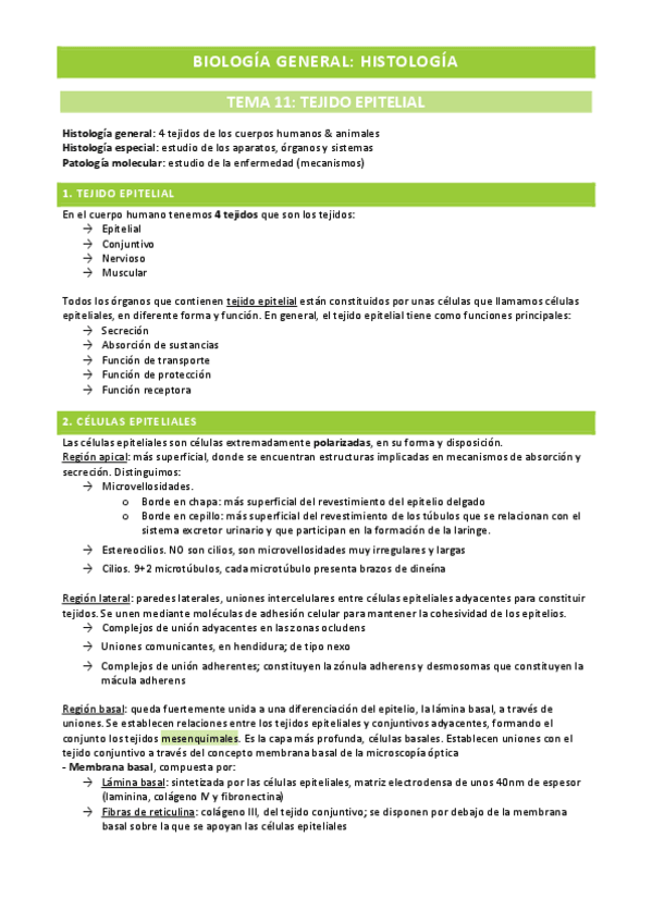 Miniatura del documento Biologia-General-Histologia-Tejidos-y-aparatos-urinario-y-digestivo.pdf