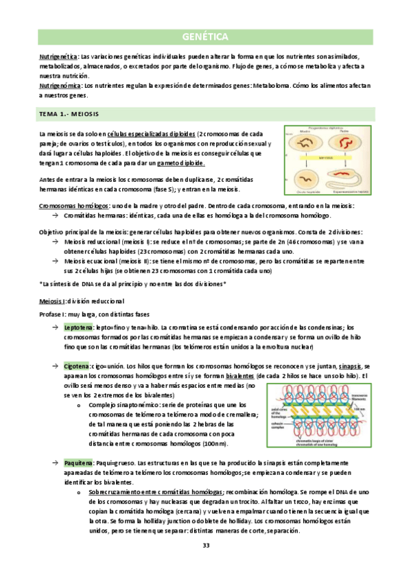 Miniatura del documento Biologia-General-Genetica.pdf