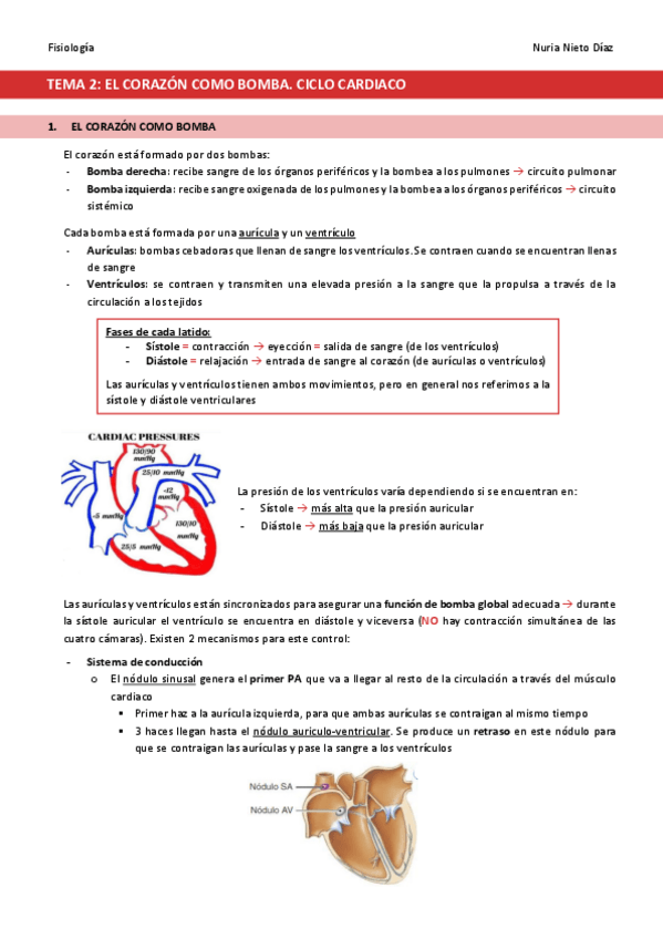 Miniatura del documento TEMA-2-El-corazon-como-bomba.pdf