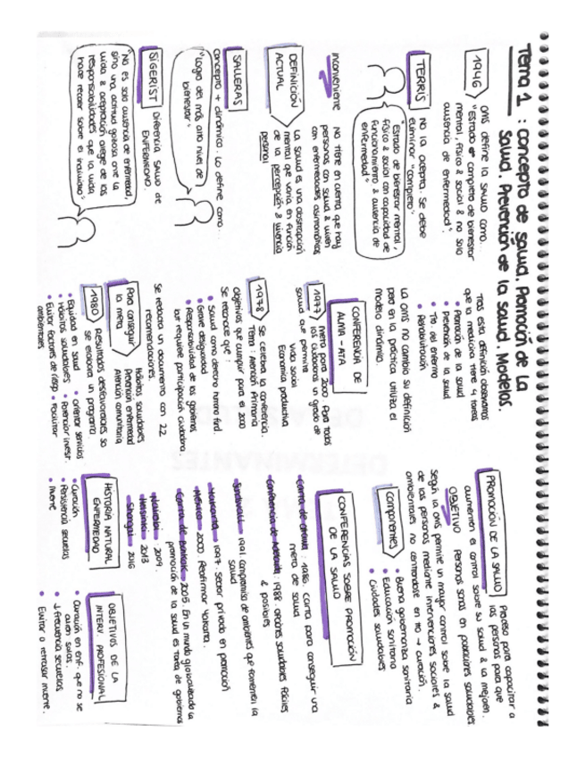 Miniatura del documento ESQUEMAS-PROMOCION-DE-LA-SALUD.pdf