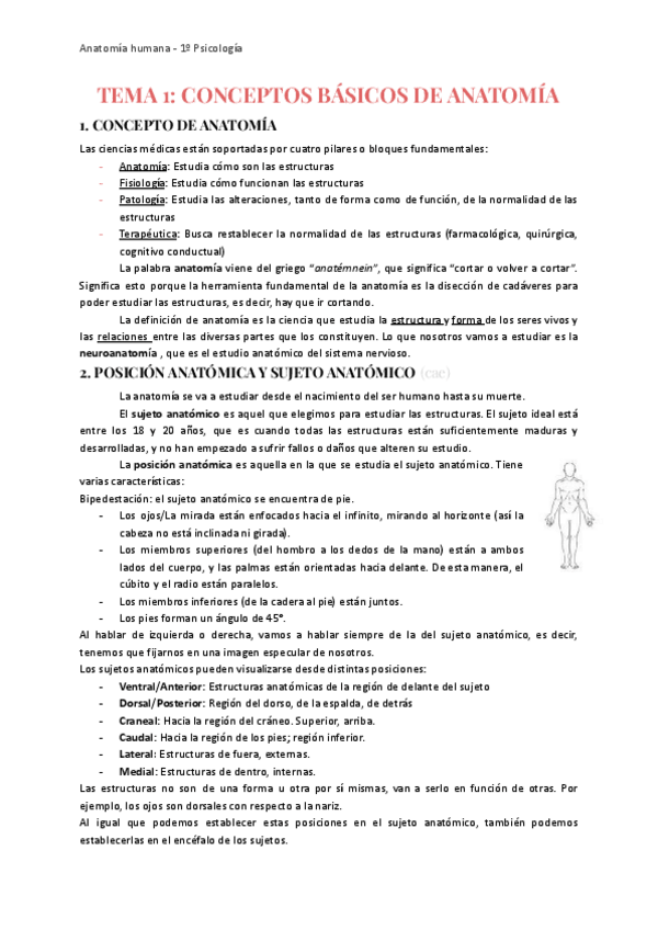 Miniatura del documento T1-ANATO-CONCEPTOS-BASICOS-DE-ANATOMIA.pdf