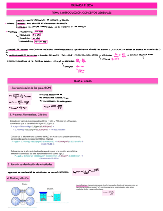 Miniatura del documento apuntesquimfis.pdf