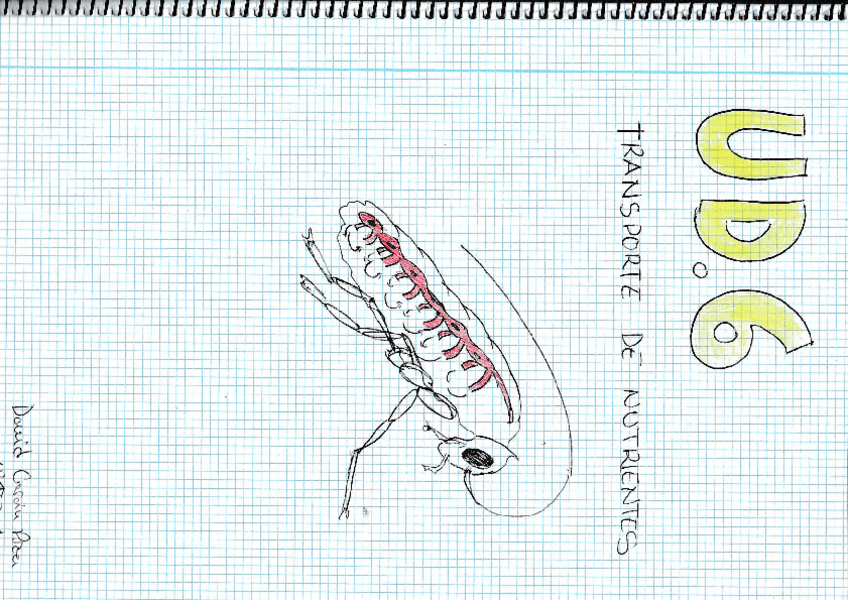 Miniatura del documento UD-6-Transporte-de-nutrientesrotated.pdf