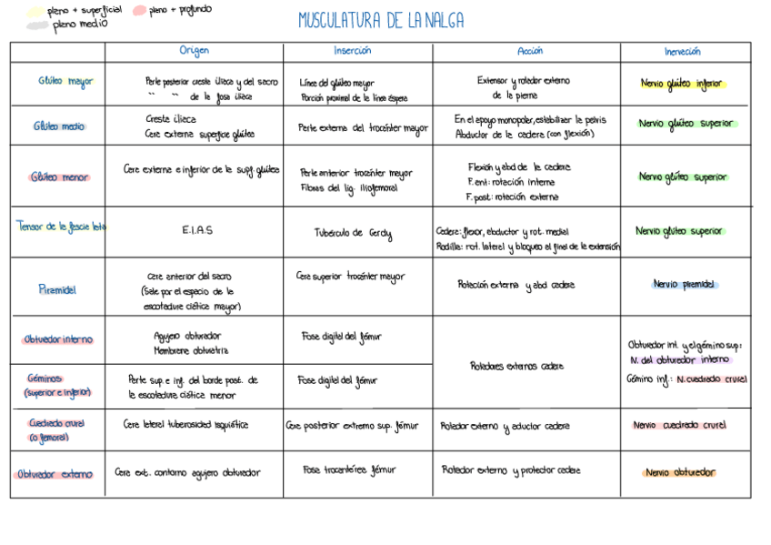 Miniatura del documento Resumenes-Anatomia-2o-Parcial-.pdf