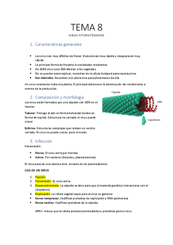 Miniatura del documento TEMA-8-Virus-fitopatogenos.pdf