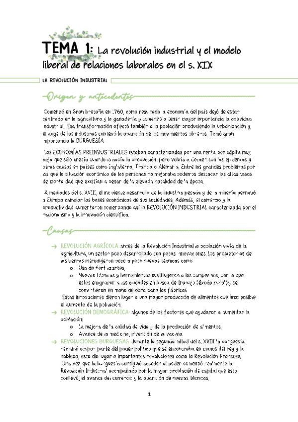 Miniatura del documento Tema-1-La-revolucion-industrial-y-el-modelo-liberal-de-relaciones-laborales-en-el-siglo-XIX.pdf