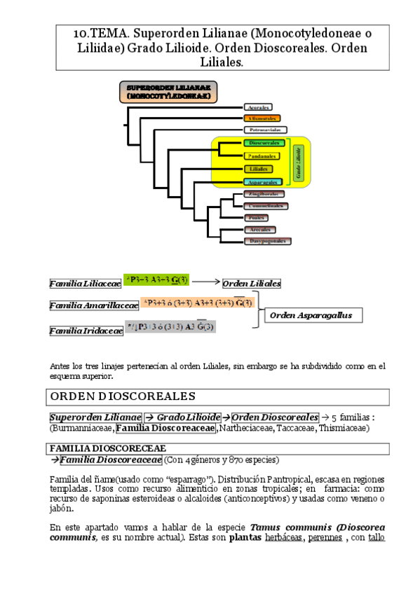 Miniatura del documento tema-10.pdf