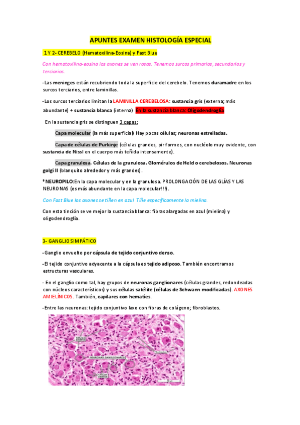 Miniatura del documento APUNTES-EXAMEN-PRACTICO-HISTO-ESPECIAL.pdf