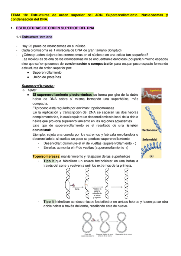 Miniatura del documento TEMA-18.pdf