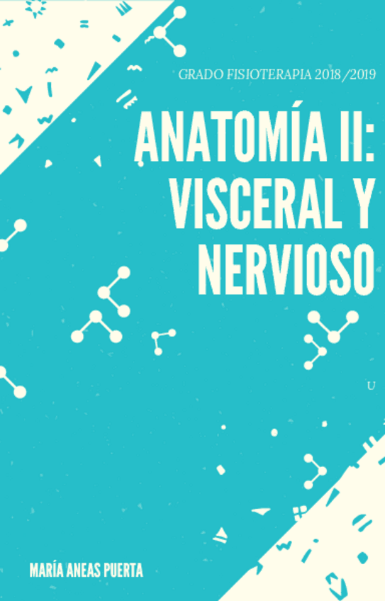 Miniatura del documento COMPLETO.pdf