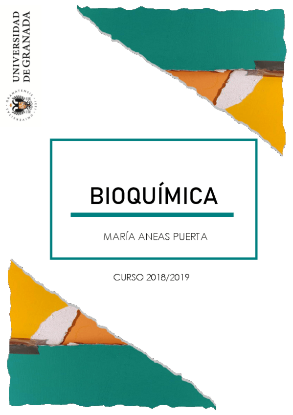 Miniatura del documento COMPLETO.pdf