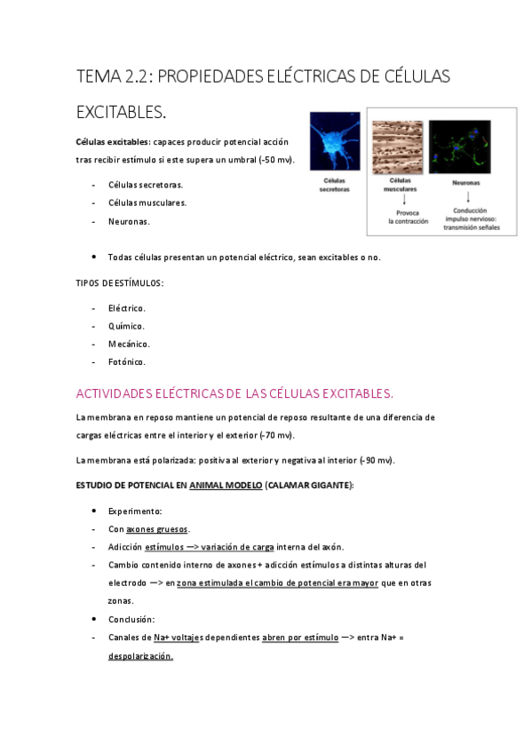 Miniatura del documento t-2.pdf