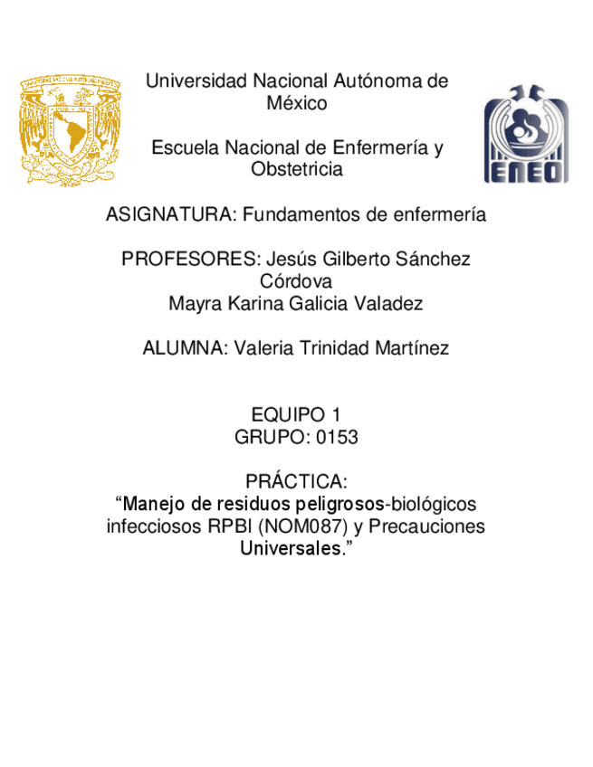 Miniatura del documento NOM087.pdf