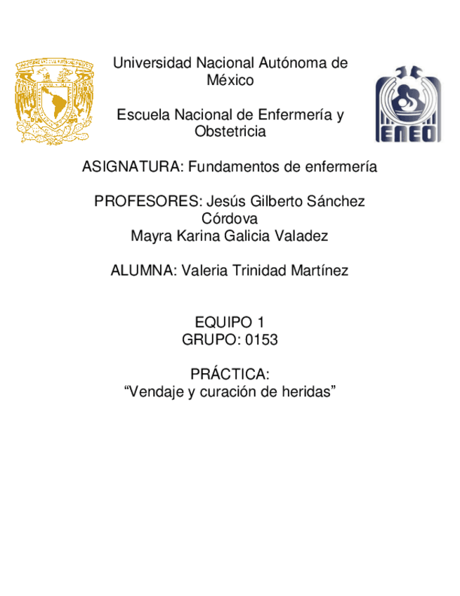 Miniatura del documento Vendaje-y-heridas.pdf