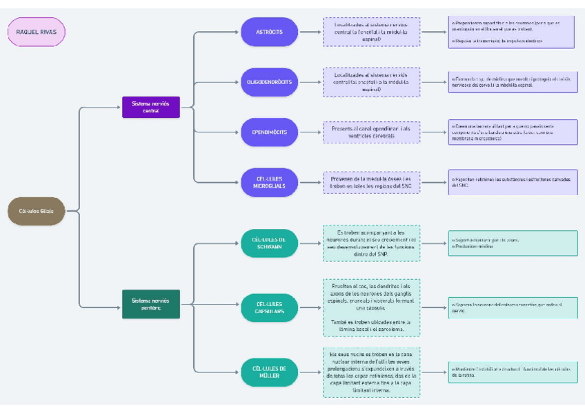 Miniatura del documento Teixits-del-cos-huma.pdf