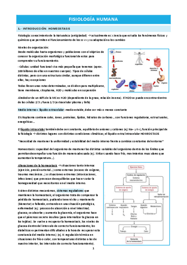 Miniatura del documento Bloque-I.pdf
