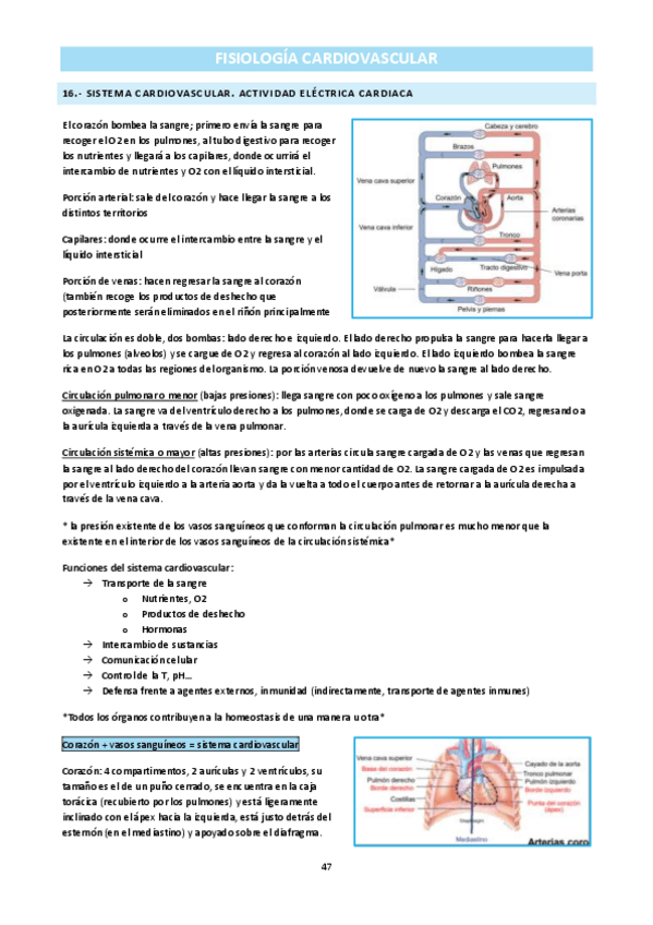 Miniatura del documento Bloque-II.pdf