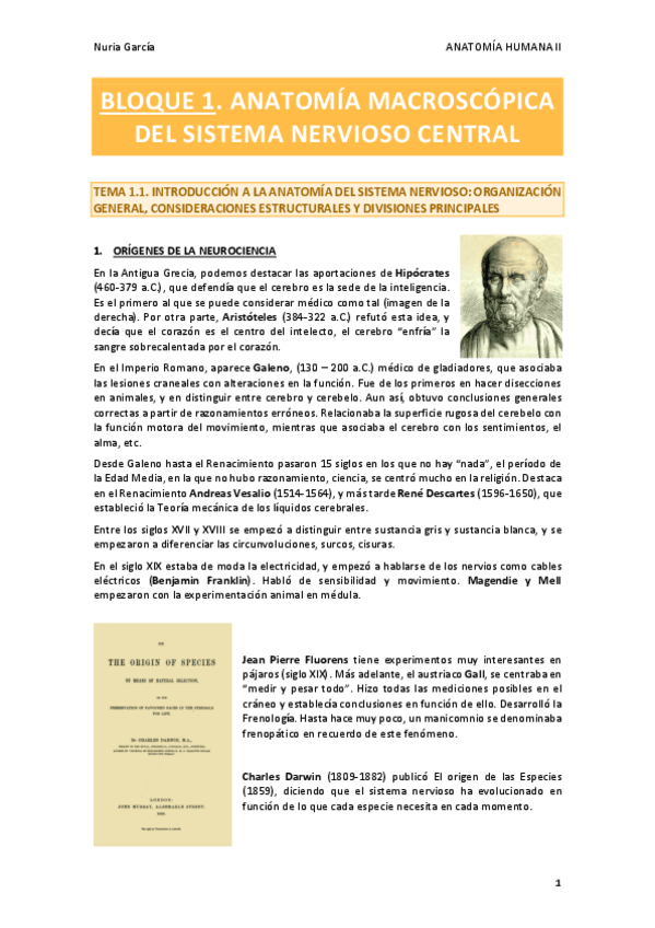 Miniatura del documento B1-AHII-5.pdf