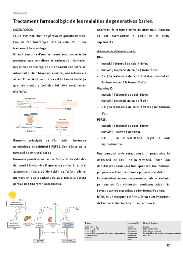 Miniatura del documento 20.pdf