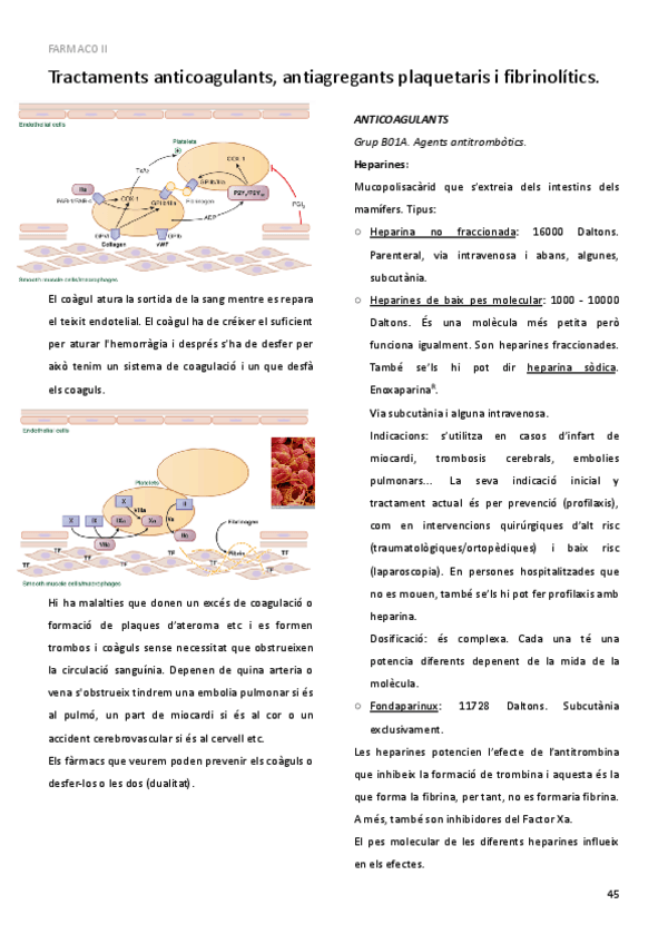 Miniatura del documento 16.pdf