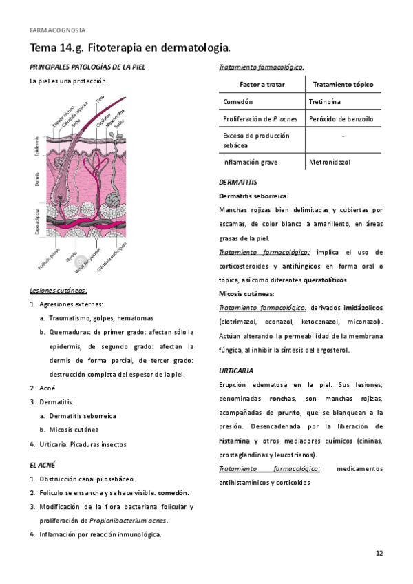 Miniatura del documento Tema-14.pdf