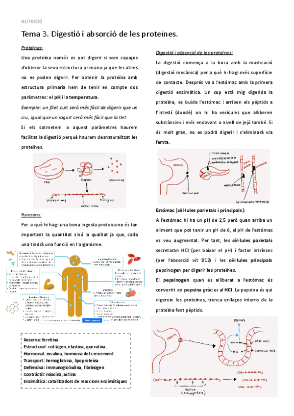Miniatura del documento TEMA-3.pdf